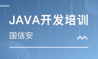 成都四川国信安职业培训学校 河北新闻网推荐品牌，专注软件外包服务