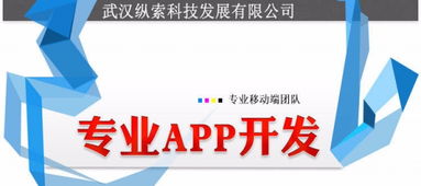 武汉纵索App开发外包公司 专业办公系统软件开发定制与软件外包服务