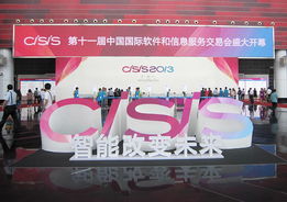 我司参加第十一届中国国际软件和信息服务交易会取得圆满成功，软件外包服务获业界广泛赞誉