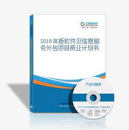 2016年版软件及信息服务外包项目商业计划书